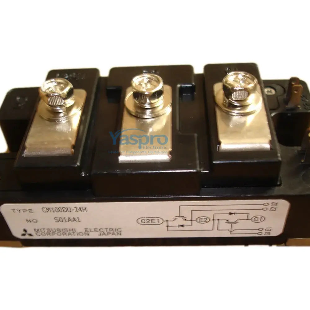 CM100DU-24H Mitsubishi IGBT Module 100A 1200V