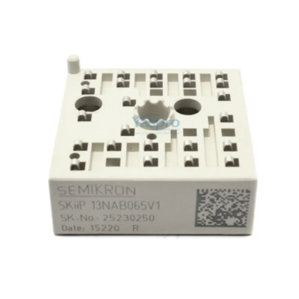 SKIIP13NAB065V1 Semikron PIM Module 600V 24A