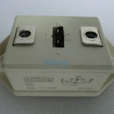 SKM111RZR Semikron IGBT Module 100A 1200V